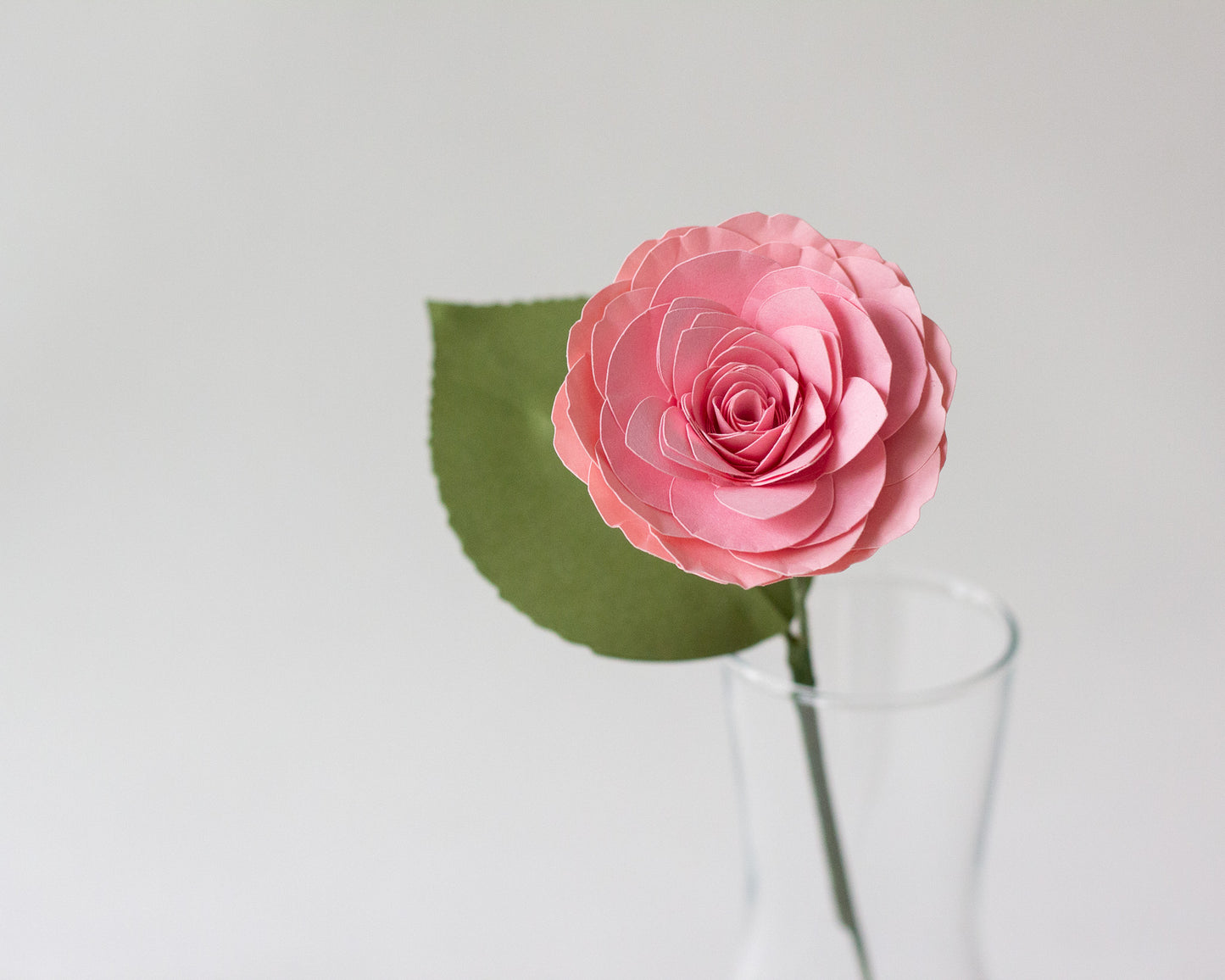 Rolled Camellia Flower