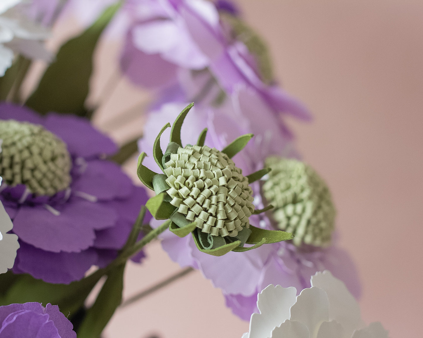 Paper Scabiosa Caucasia