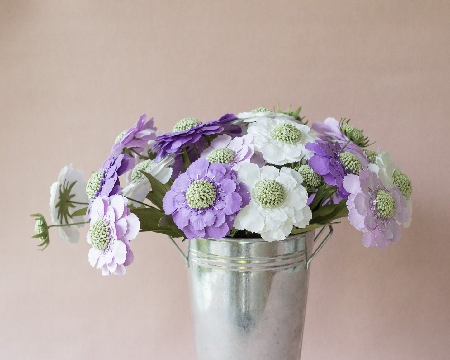 Paper Scabiosa Caucasia