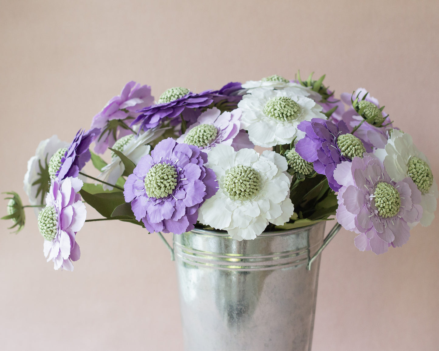 Paper Scabiosa Caucasia