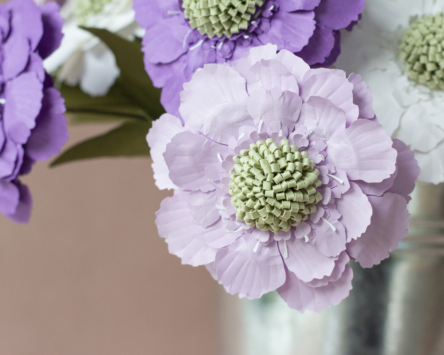Paper Scabiosa Caucasia