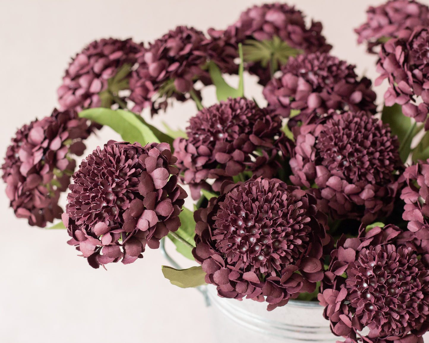 Scabiosa Pin Cushion