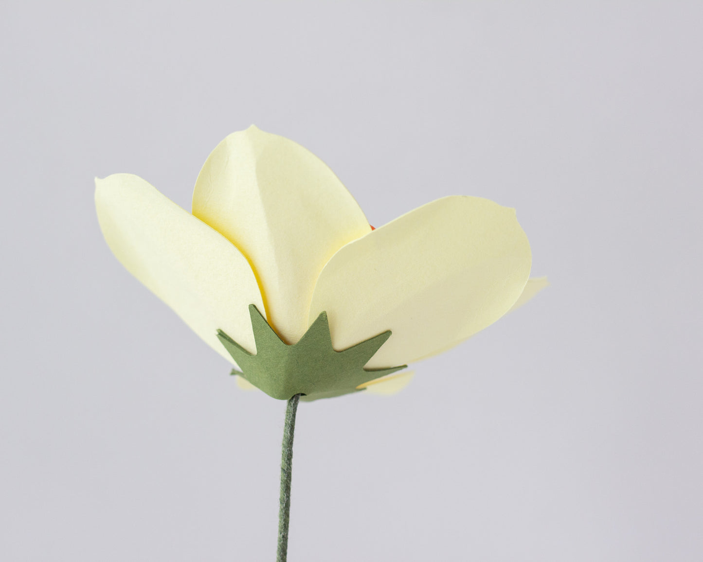 Paper Daffodil Flower