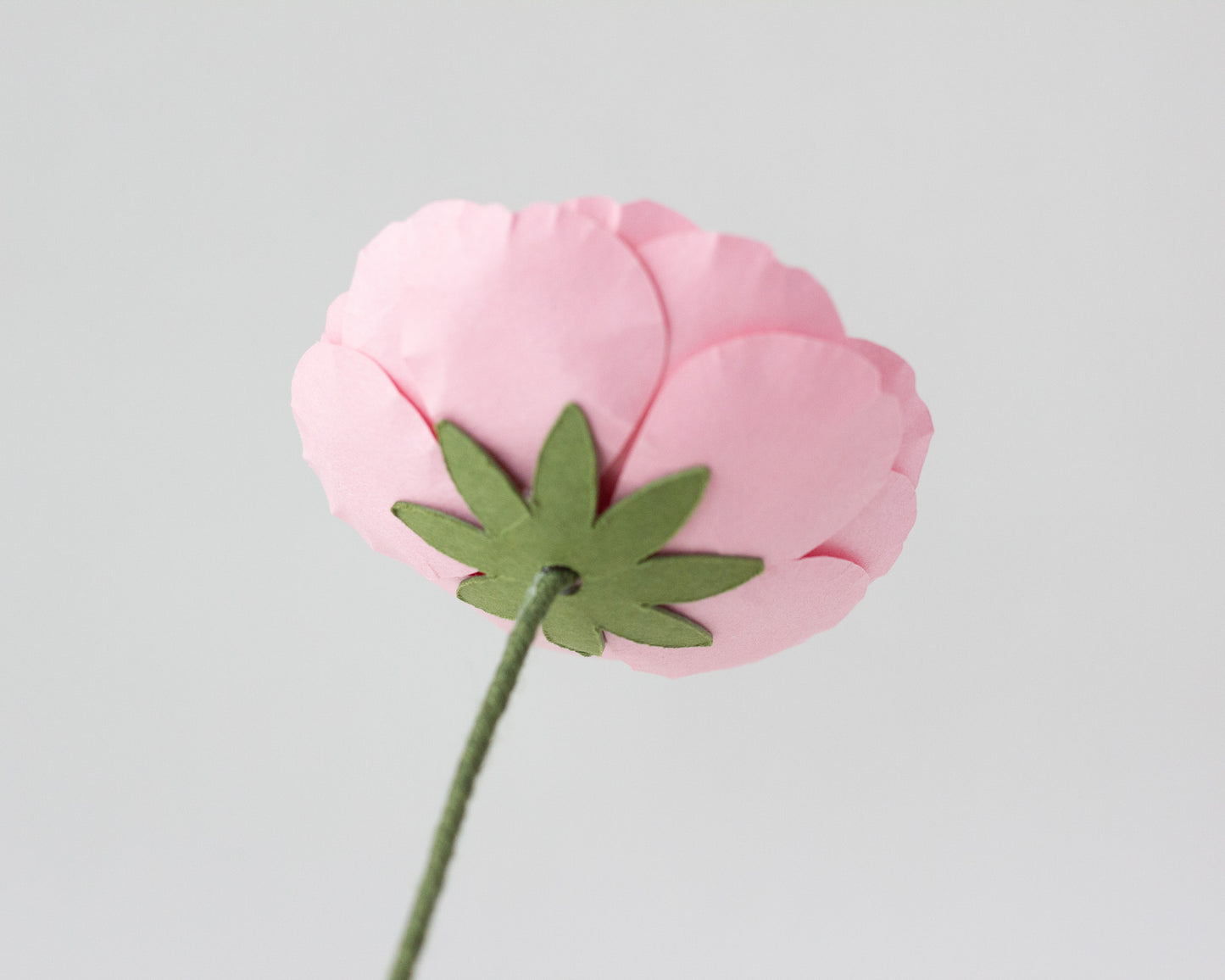 Rolled Camellia Flower