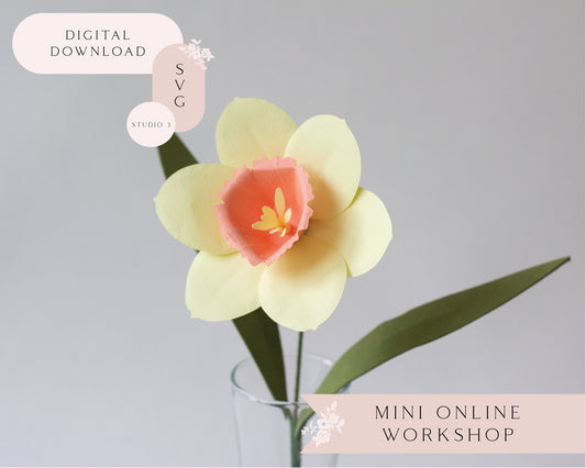 Paper Daffodil Flower