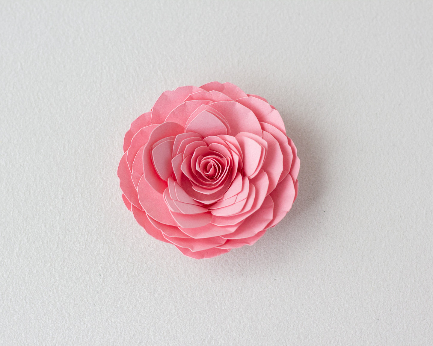 Rolled Camellia Flower