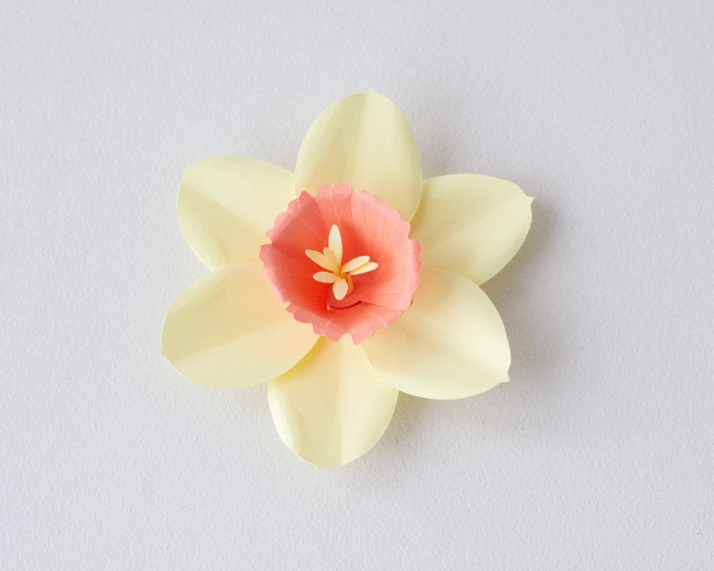 Paper Daffodil Flower