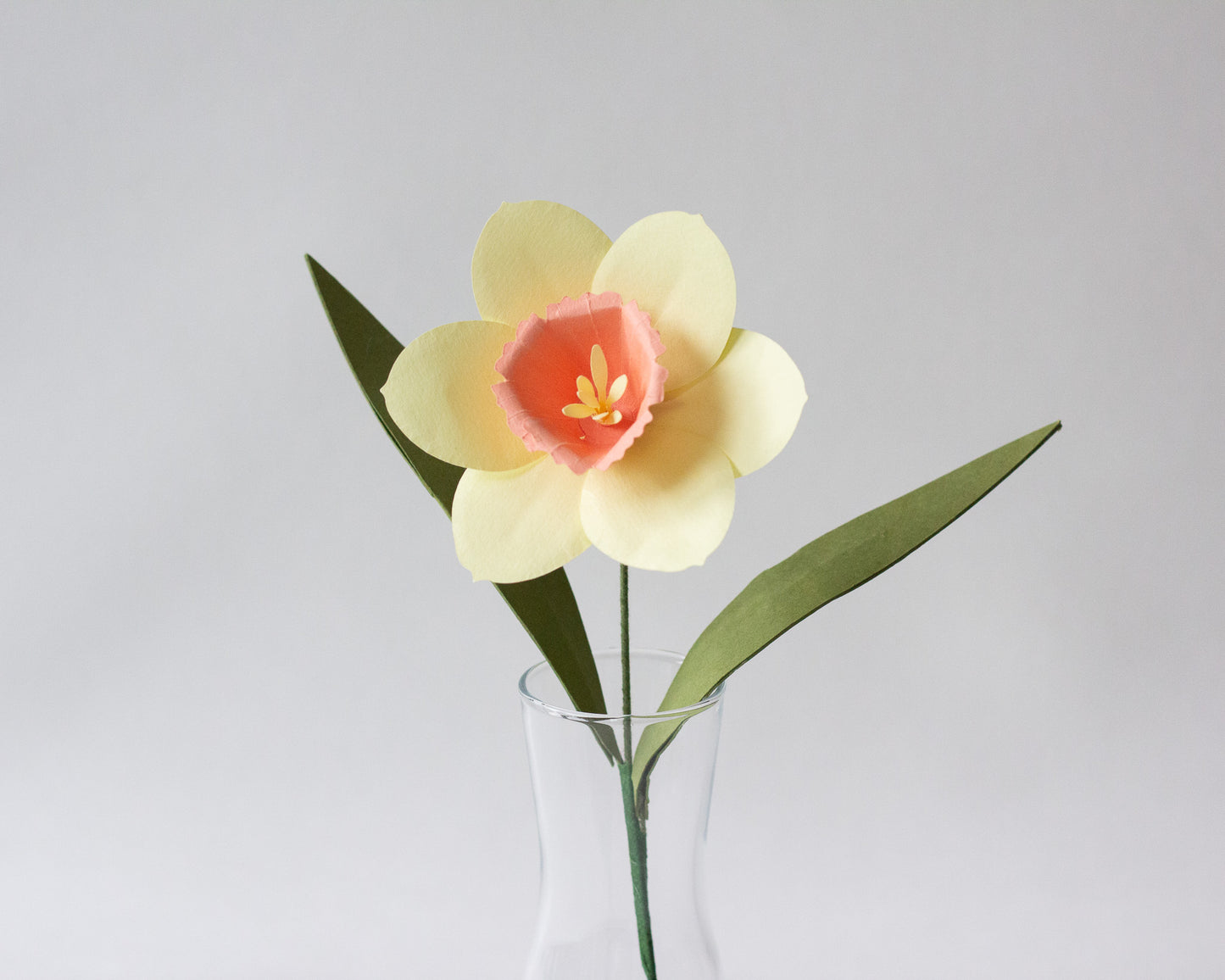 Paper Daffodil Flower