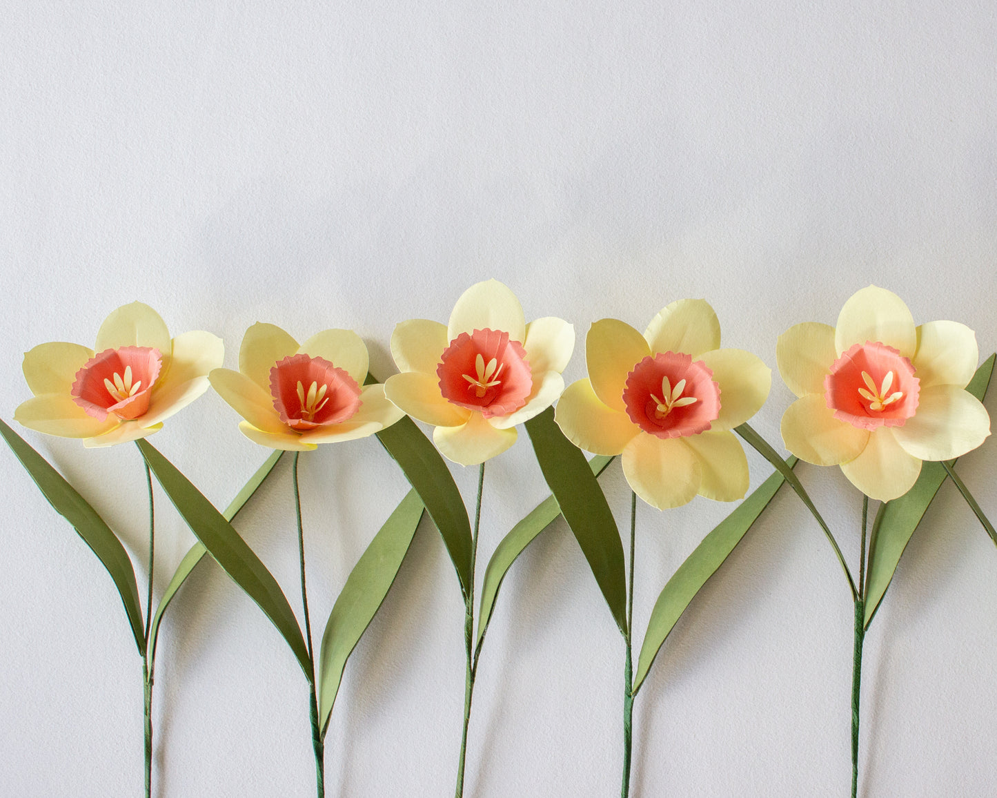 Paper Daffodil Flower