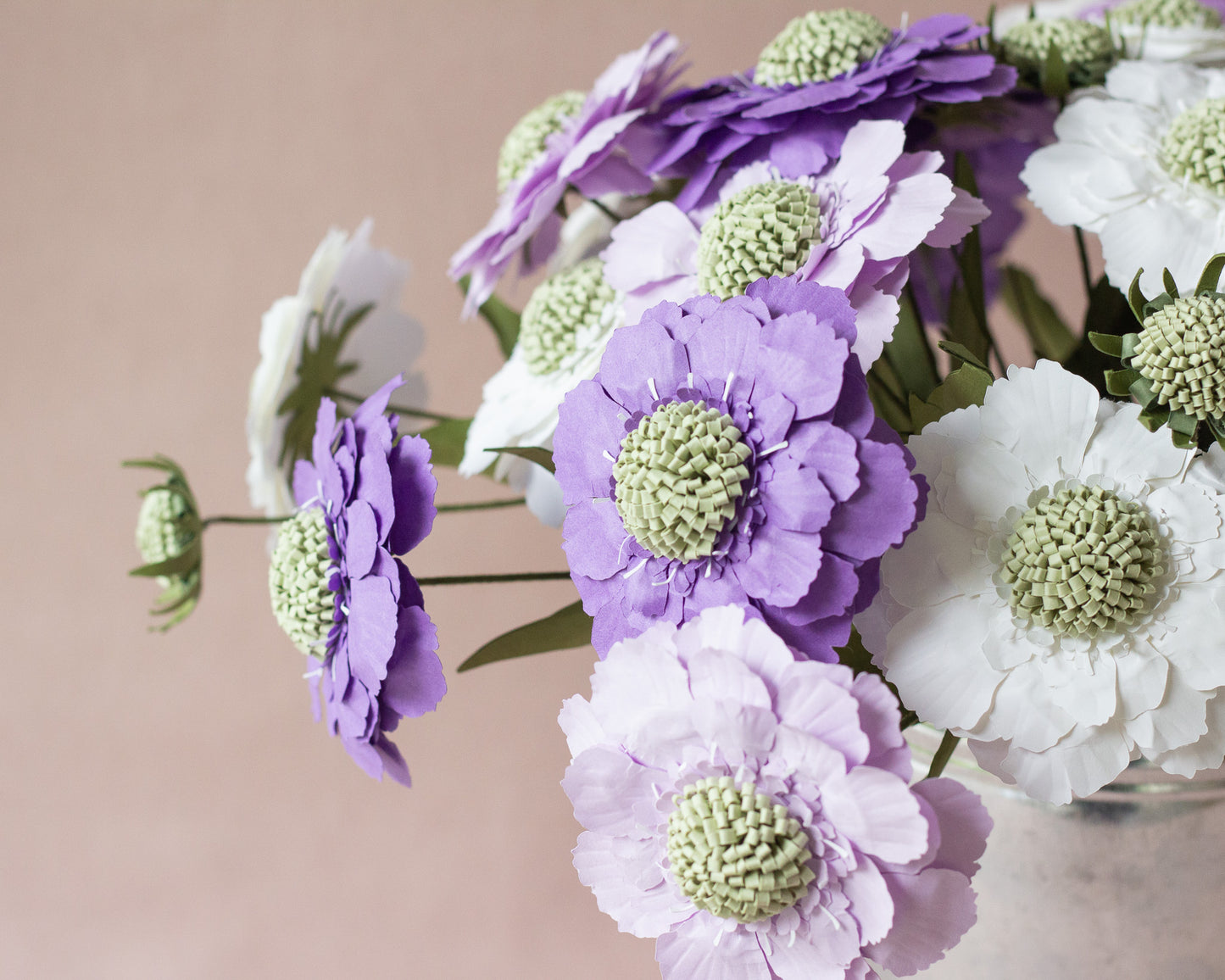 Paper Scabiosa Caucasia