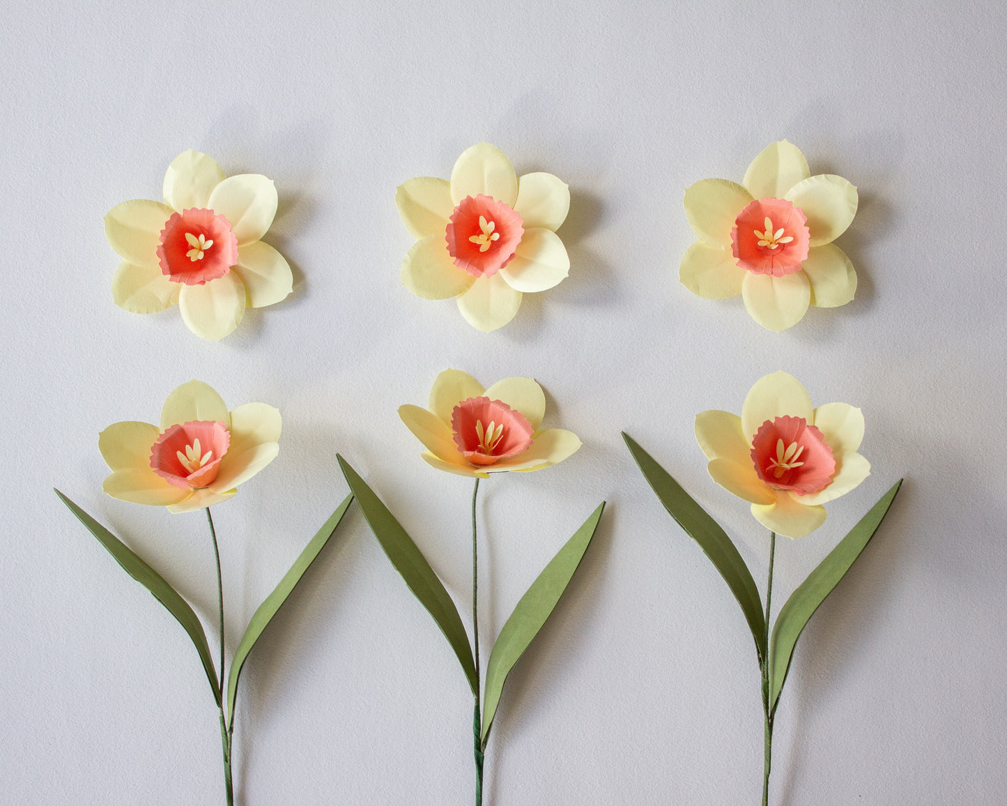Paper Daffodil Flower