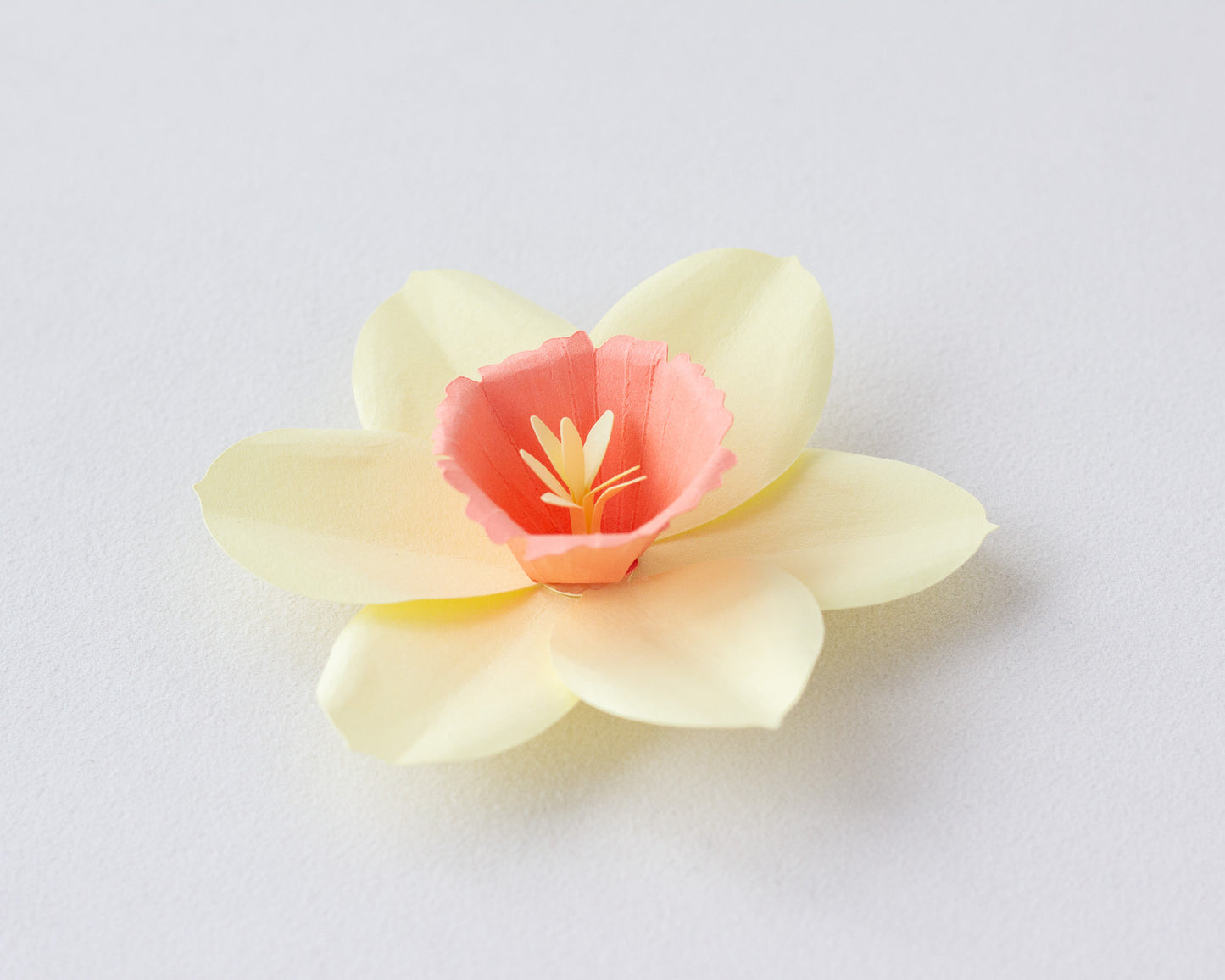 Paper Daffodil Flower