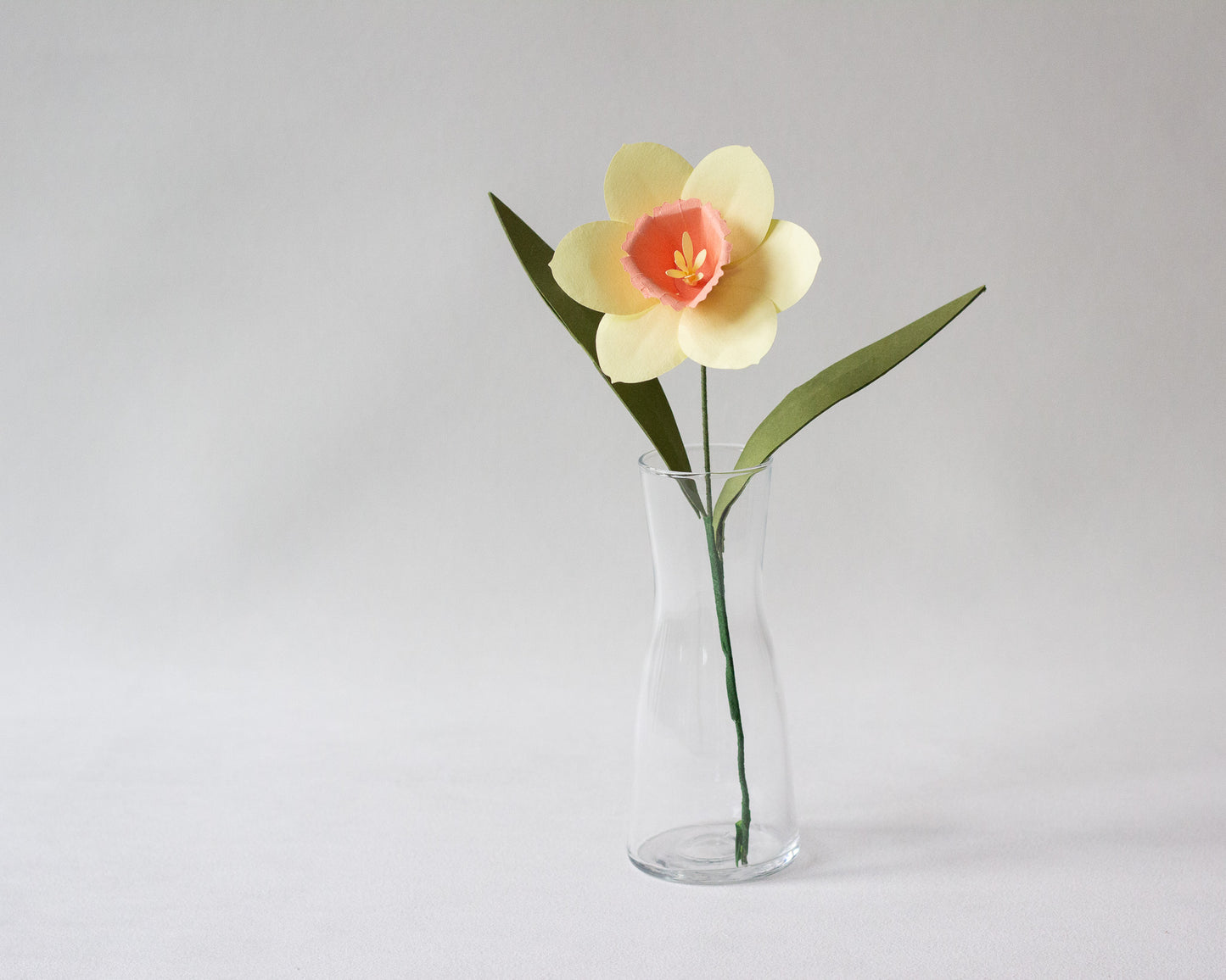 Paper Daffodil Flower