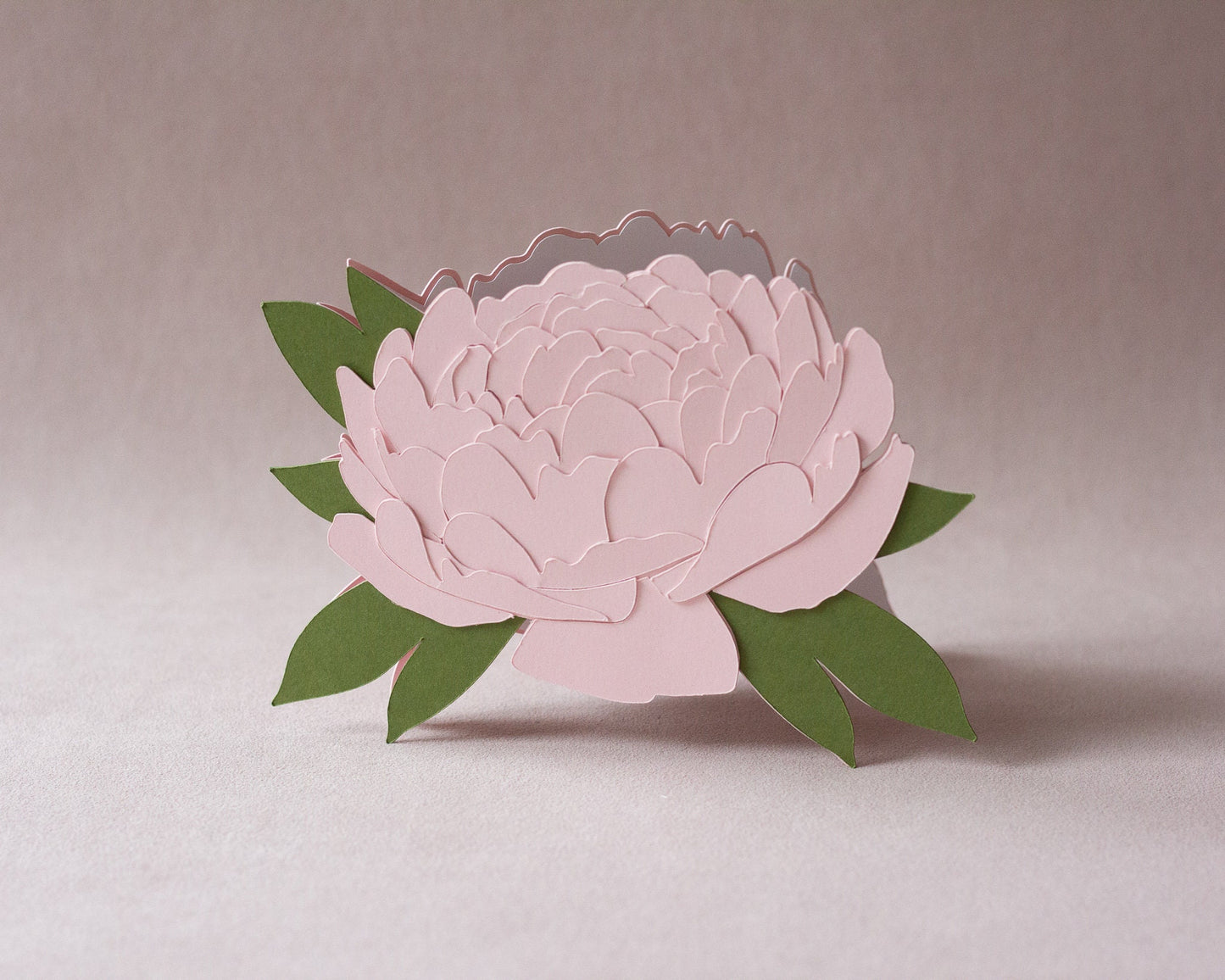Peony Folded Card