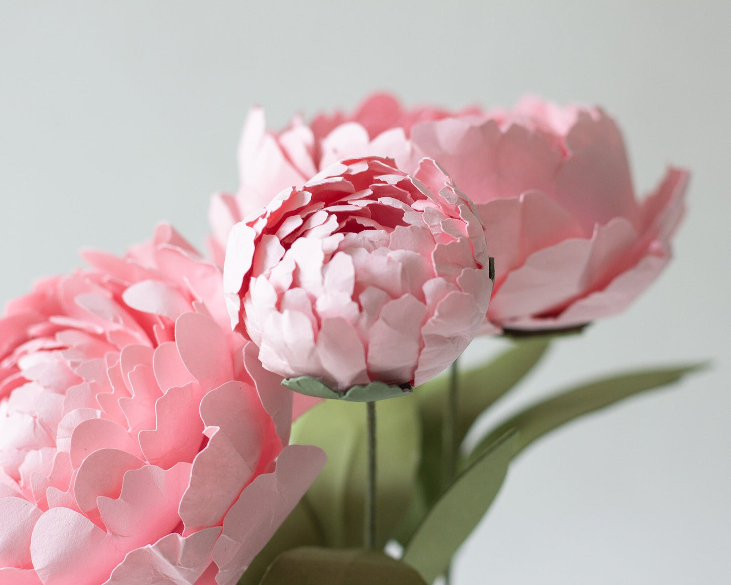 Paper Peony Flower