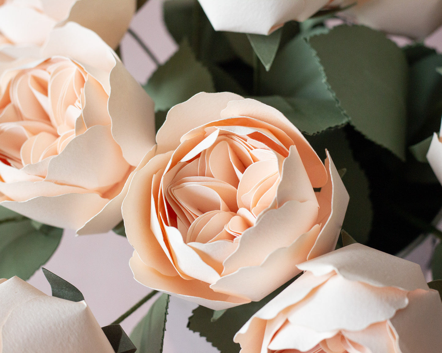 Paper Juliet Rose