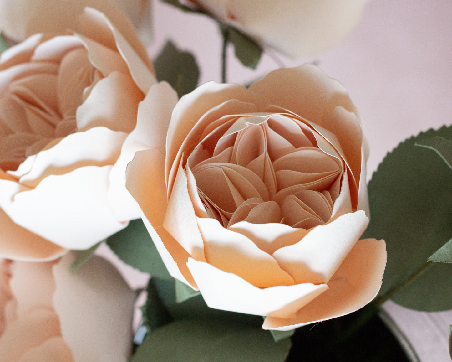 Paper Juliet Rose