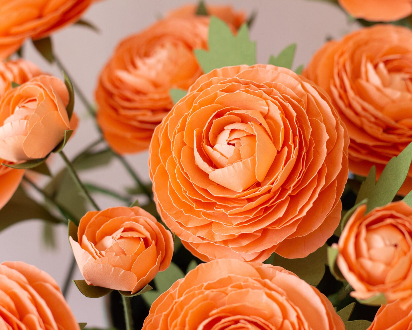 Paper Ranunculus Flower