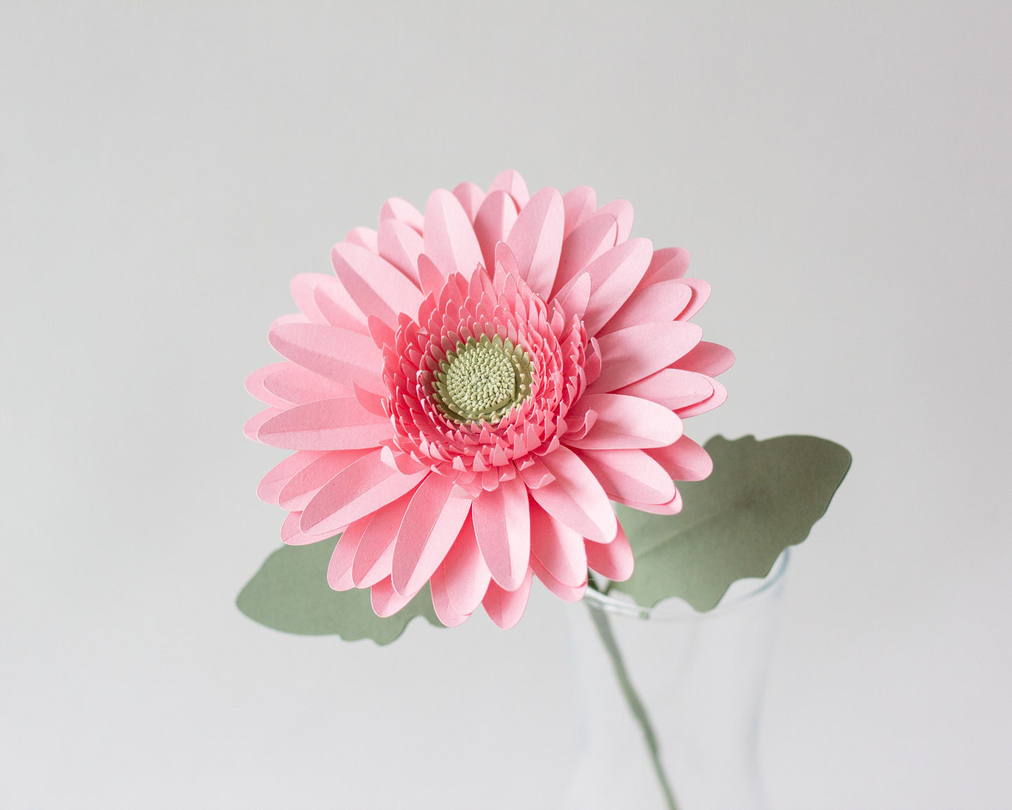 Paper Gerbera Daisy Flower