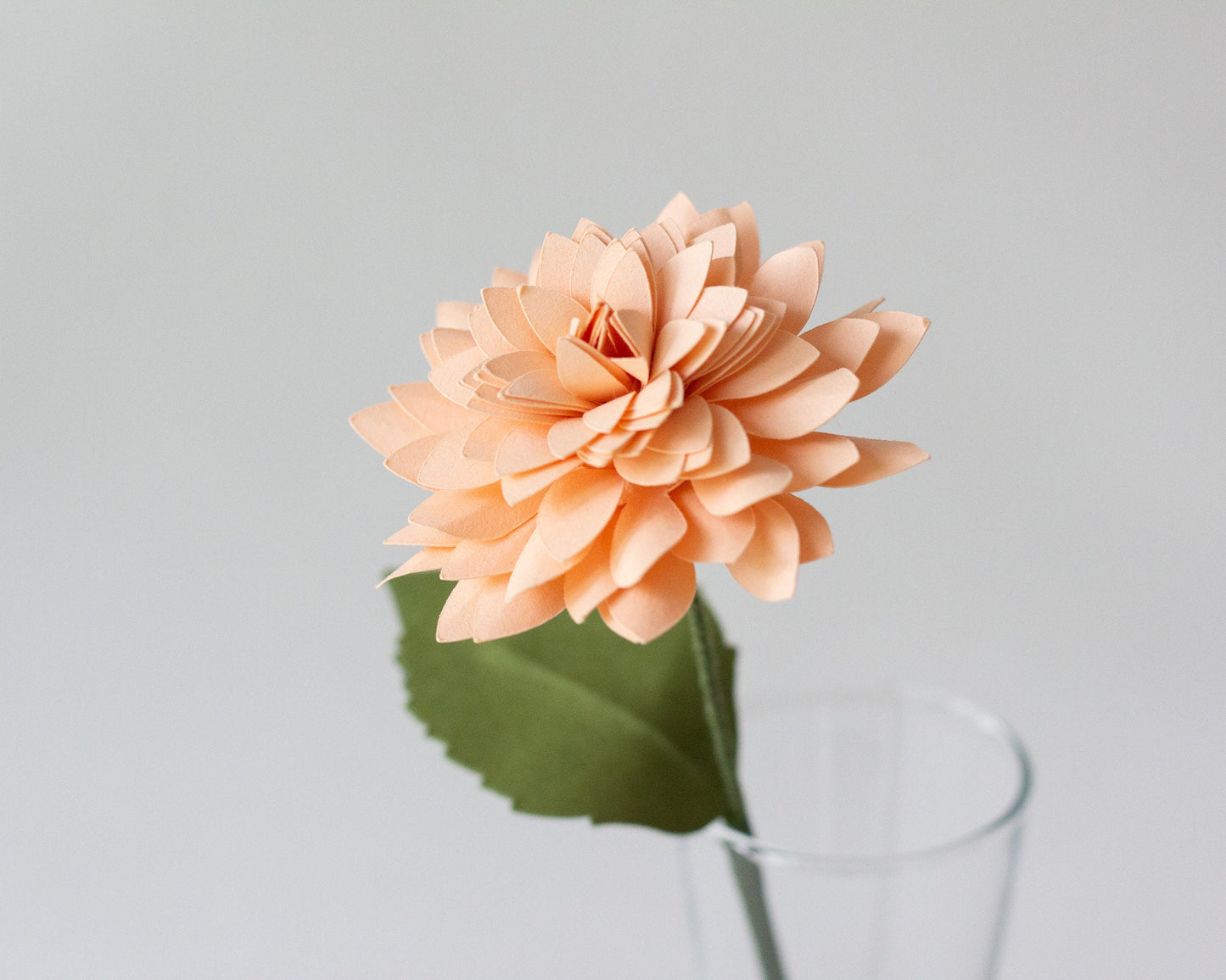 Paper Rolled Dahlia Flower