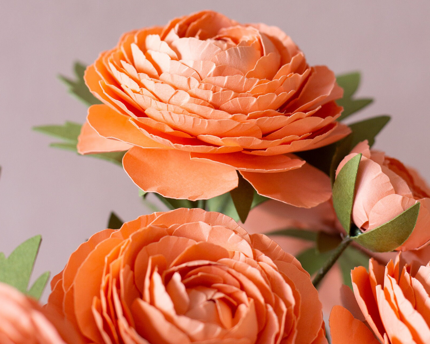 Paper Ranunculus Flower