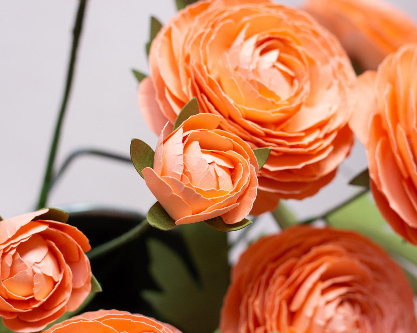 Paper Ranunculus Flower