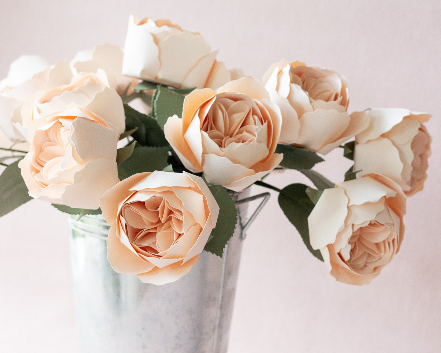 Paper Juliet Rose