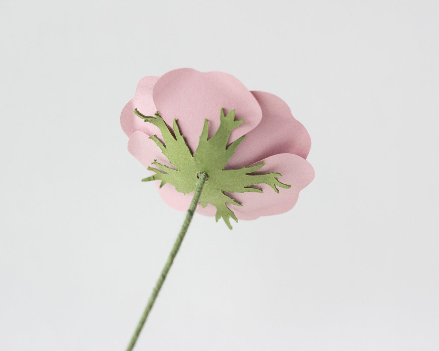Paper Rolled Rose Flower