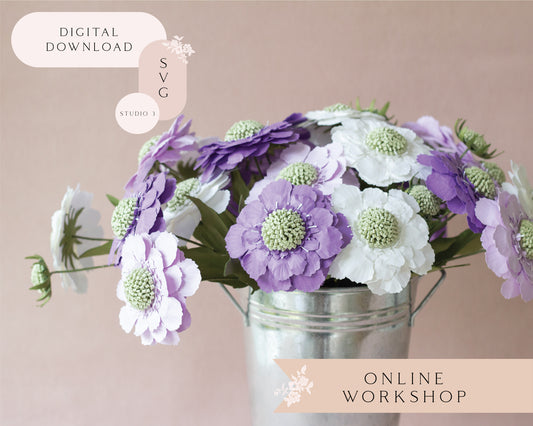 Paper Scabiosa Caucasia