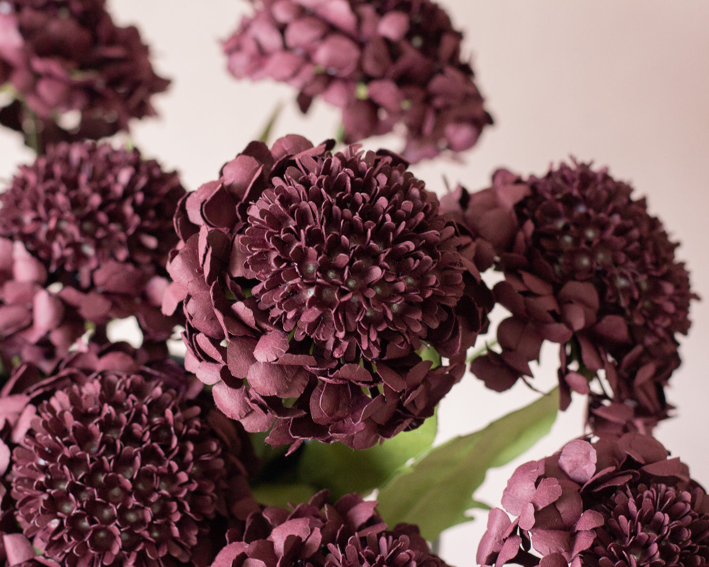 Scabiosa Pin Cushion