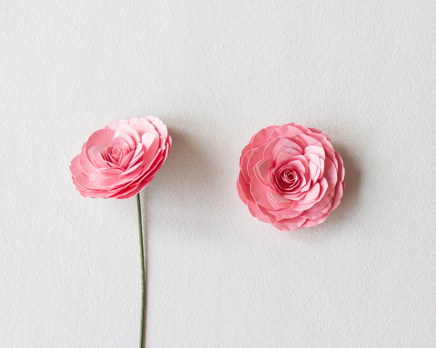 Rolled Camellia Flower