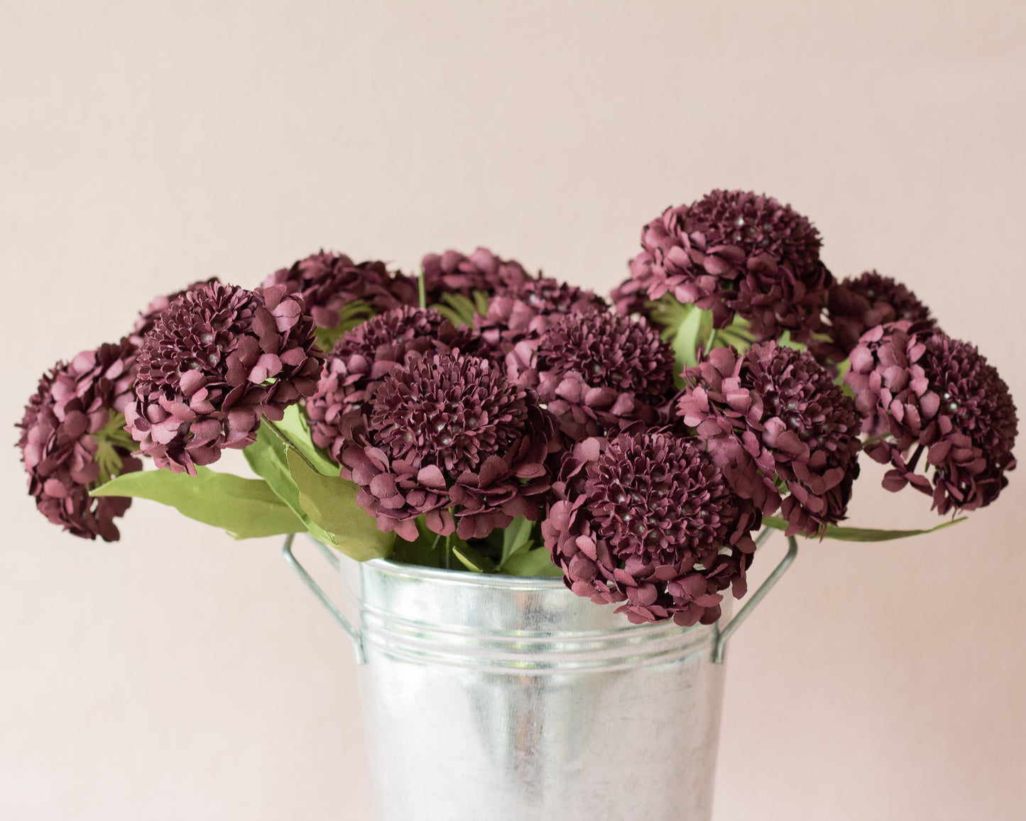 Scabiosa Pin Cushion