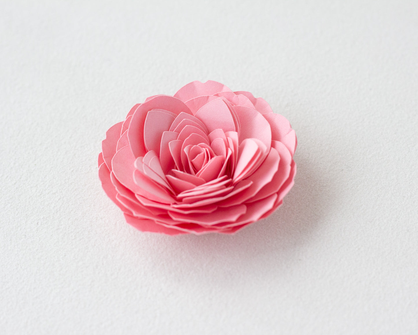 Rolled Camellia Flower