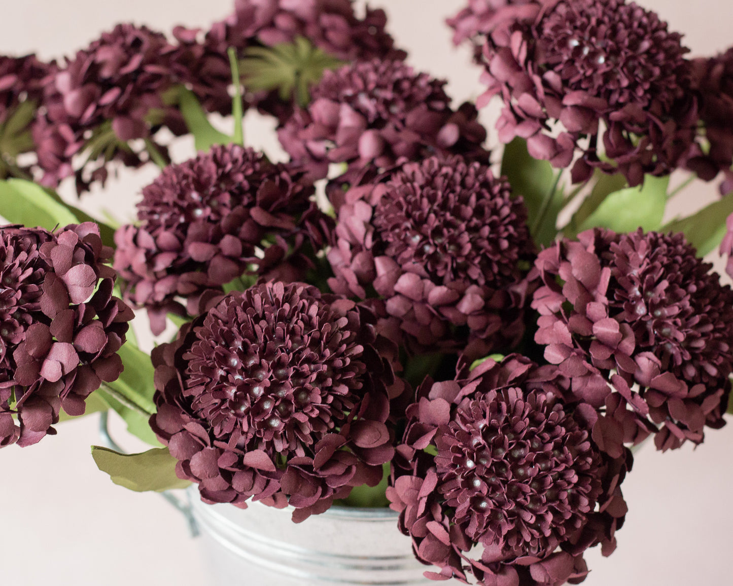 Scabiosa Pin Cushion