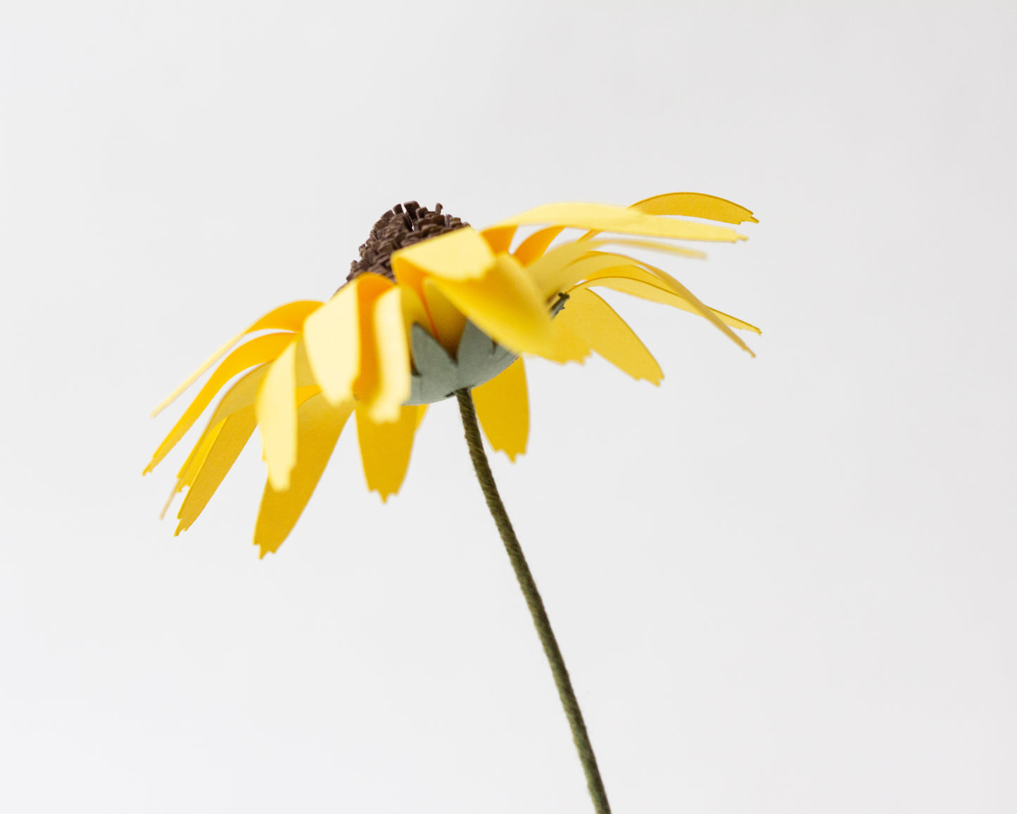 Paper Black Eyed Susan Wildflower