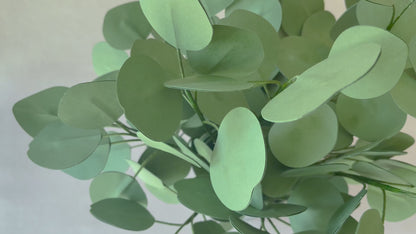 Paper Eucalyptus Stem